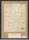 Amphitetras antediluviana Ehr. (de-Toni-Nr.: Genus 137, Species 3602) Zeichnungen Sammlung Grunow Nr. 7097 (NHMW-BOT-W0376050)